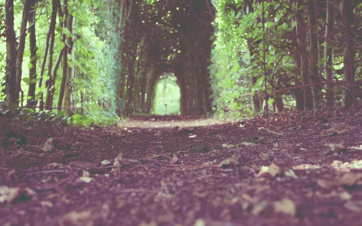 Quiero dejar de jugar: una hoja de ruta tranquila para los primeros 7 días